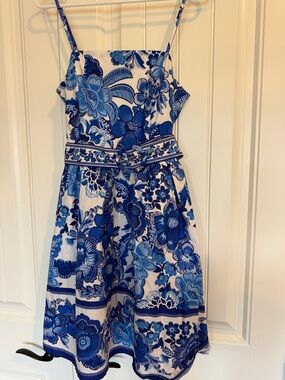 Joie Blue and White Floral Belted Sundress